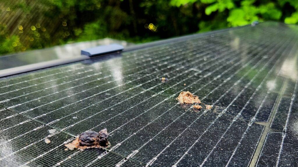 Balkonkraftwerk Ertrag Verschmutzung Vogelkot