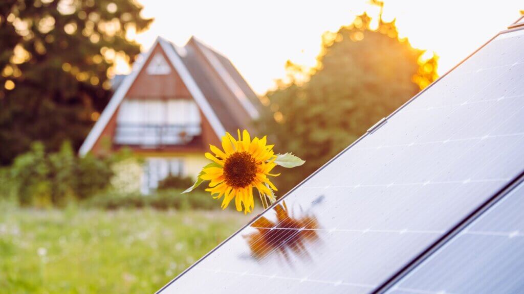 Recht auf Solar Haus im Grünen mit Photovoltaik (Quelle: iStock / Helin Loik-Tomson)